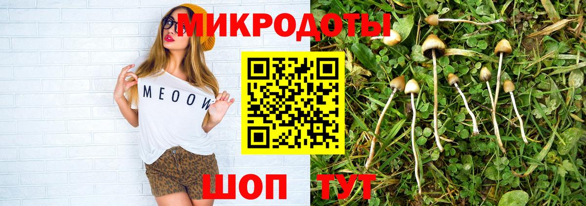Галлюциногенные грибы MAGIC MUSHROOMS  Вход с VPN  Тихорецк 